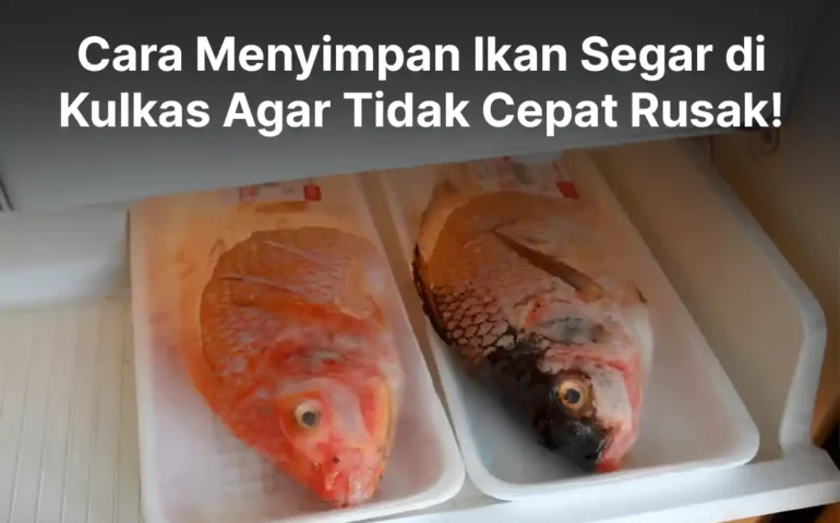 cara menyimpan ikan segar di kulkas