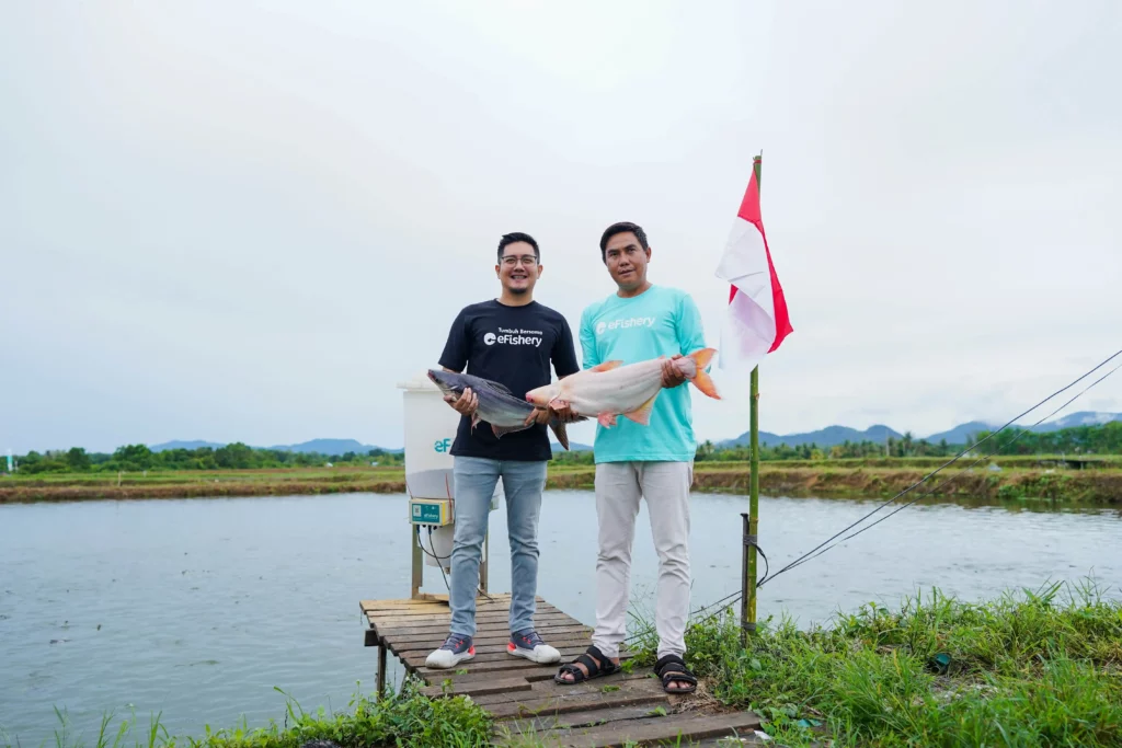 efishery jual ikan di jakarta