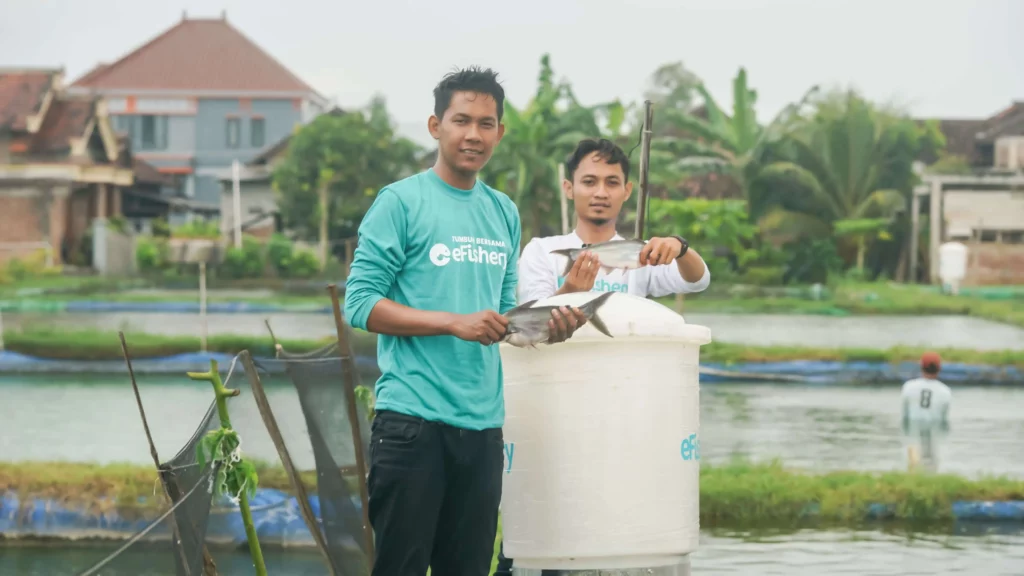 efishery jual ikan segar online