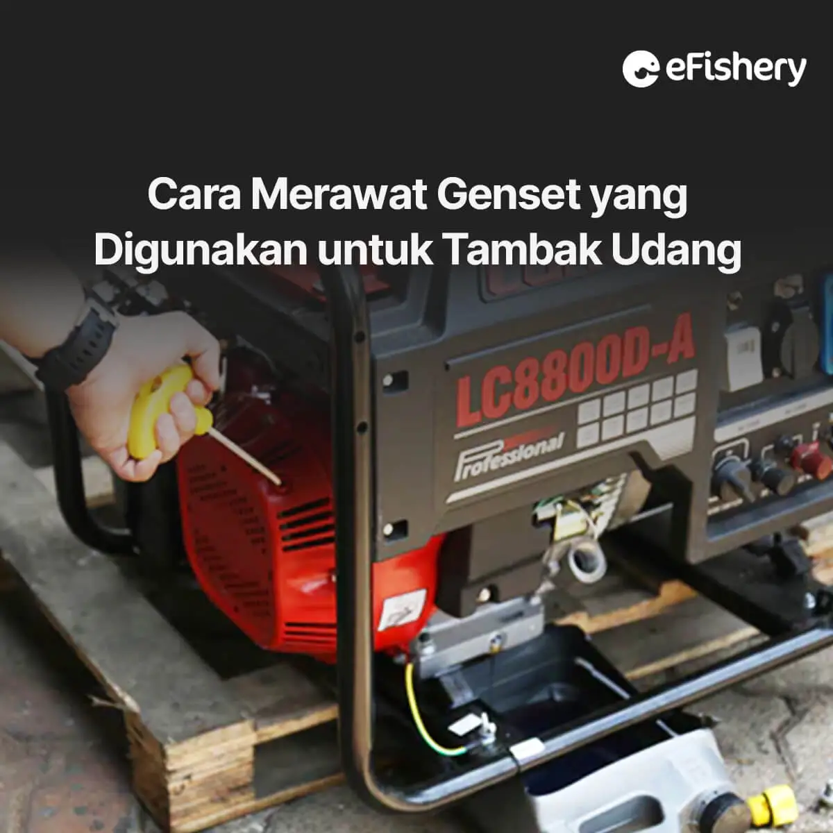 genset yang digunakan untuk tambak udang