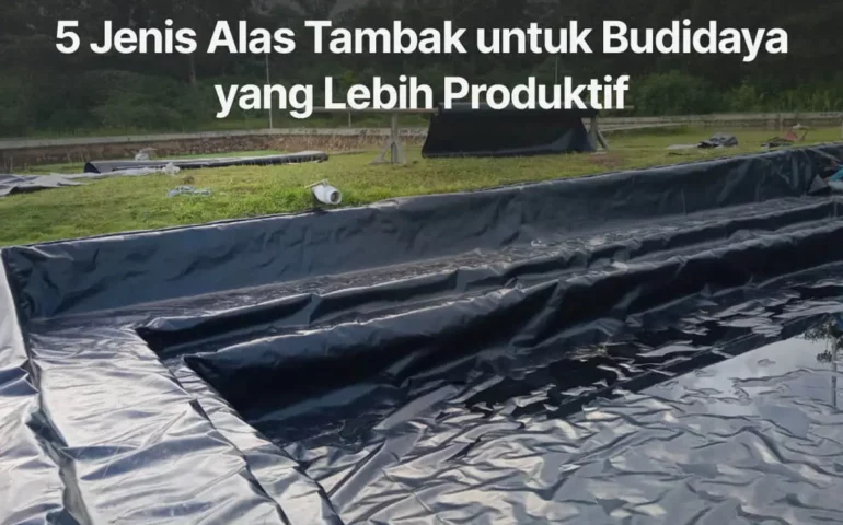 jenis alas tambak untuk budidaya udang