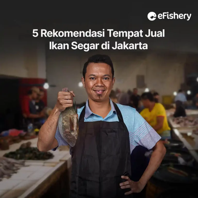 jual ikan segar di jakarta