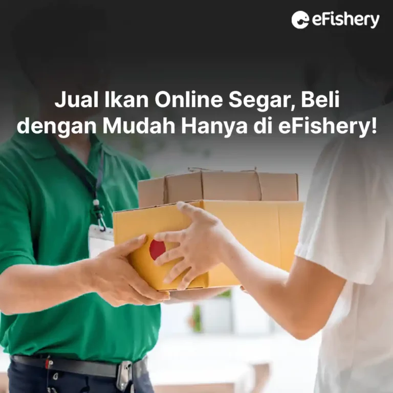 jual ikan online