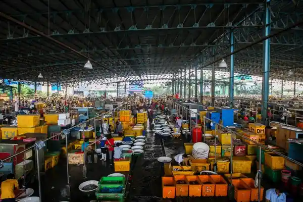 lokasi jual ikan segar di jakarta