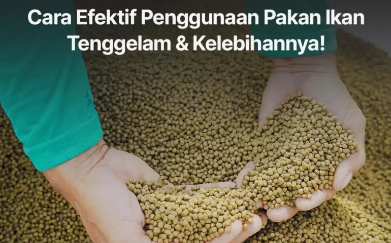 pakan ikan tenggelam