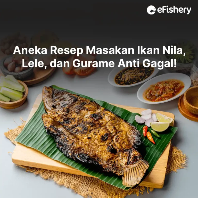 resep masakan ikan