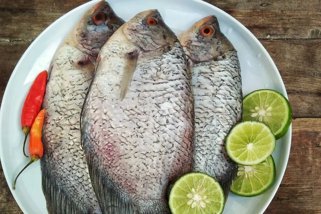 ikan gurame bergizi