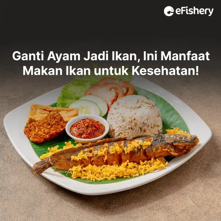 manfaat makan ikan