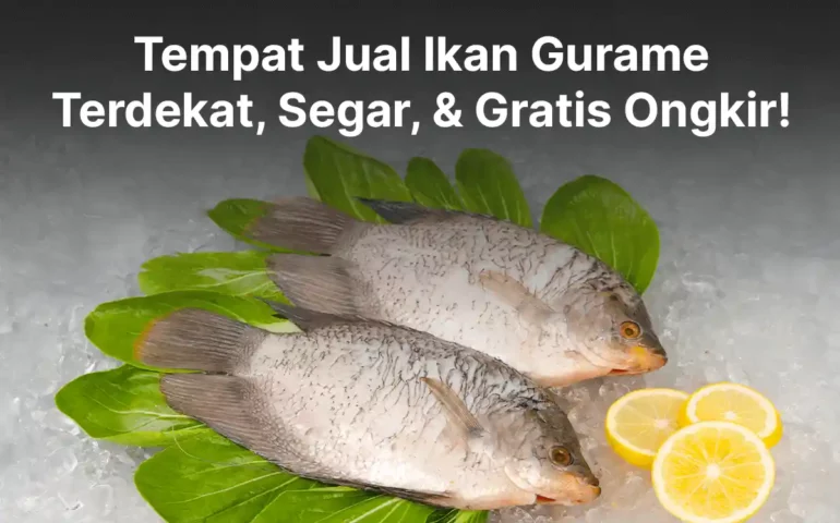 tempat jual ikan gurame terdekat