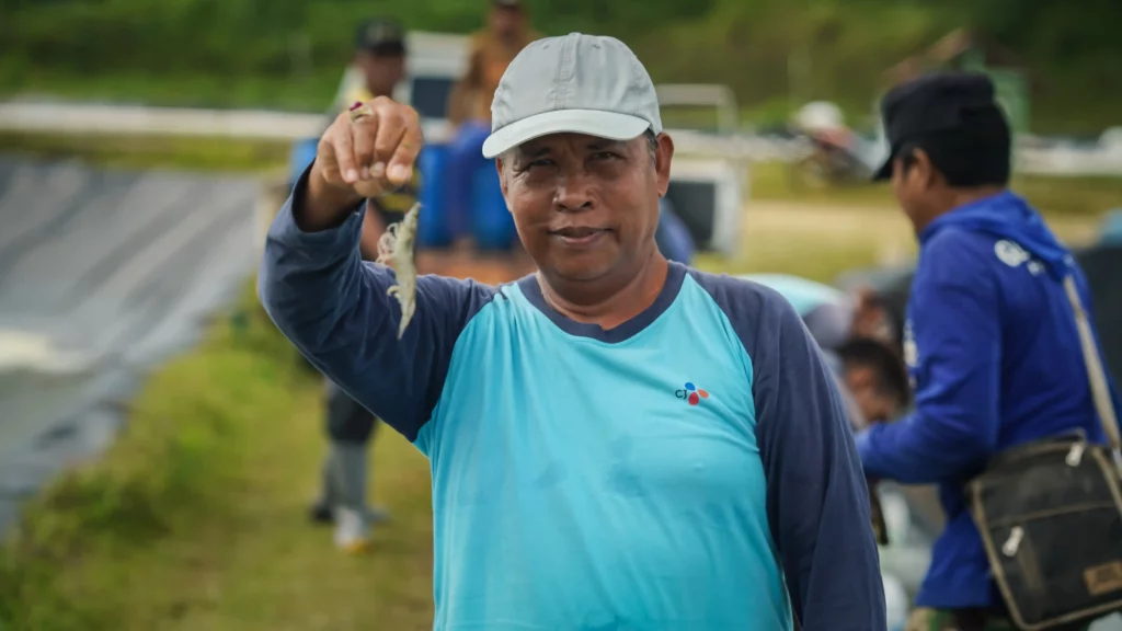 tips memilih penjual udang