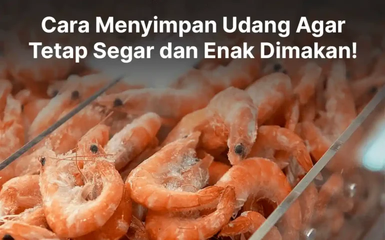 cara menyimpan udang agar tetap segar