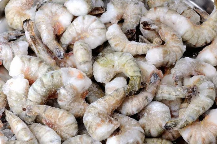 cara menyimpan udang beku tetap segar