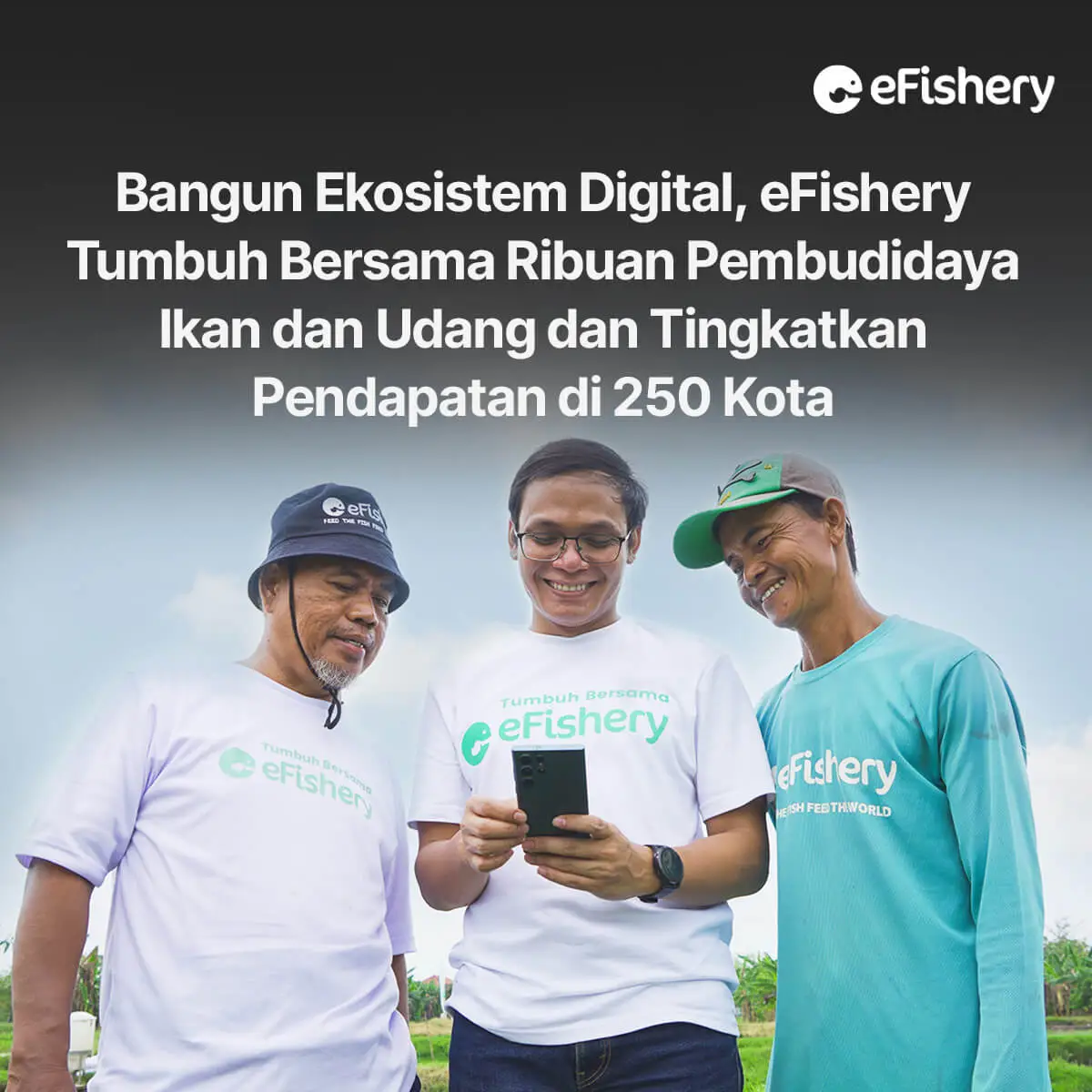 efishery tumbuh bersama ribuan pembudidaya ikan udang