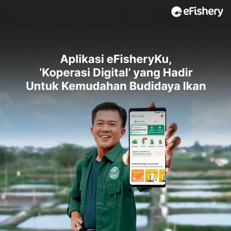 efisheryku koperasi digital budidaya ikan