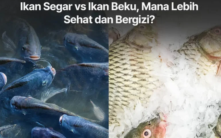 ikan segar vs ikan beku