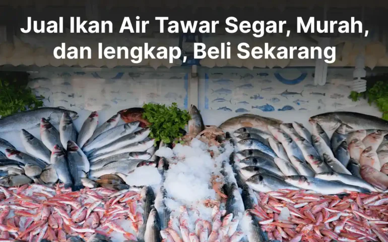 jual ikan air tawar