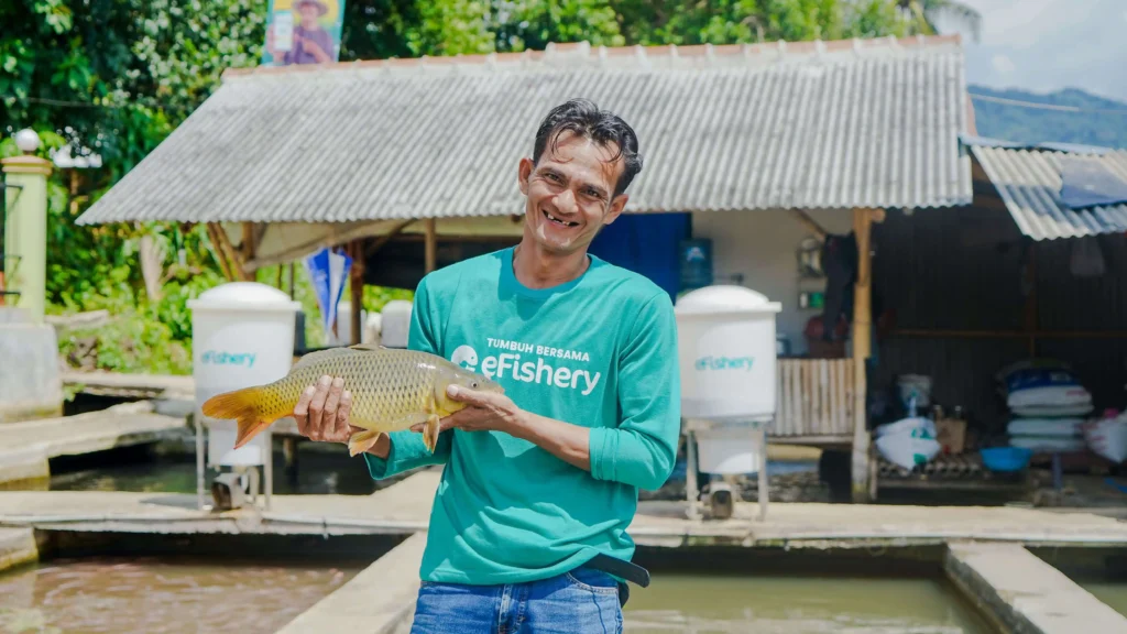 pilihan ikan air tawar di efishery