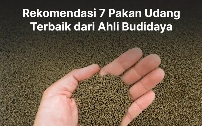 7 rekomendasi pakan udang terbaik