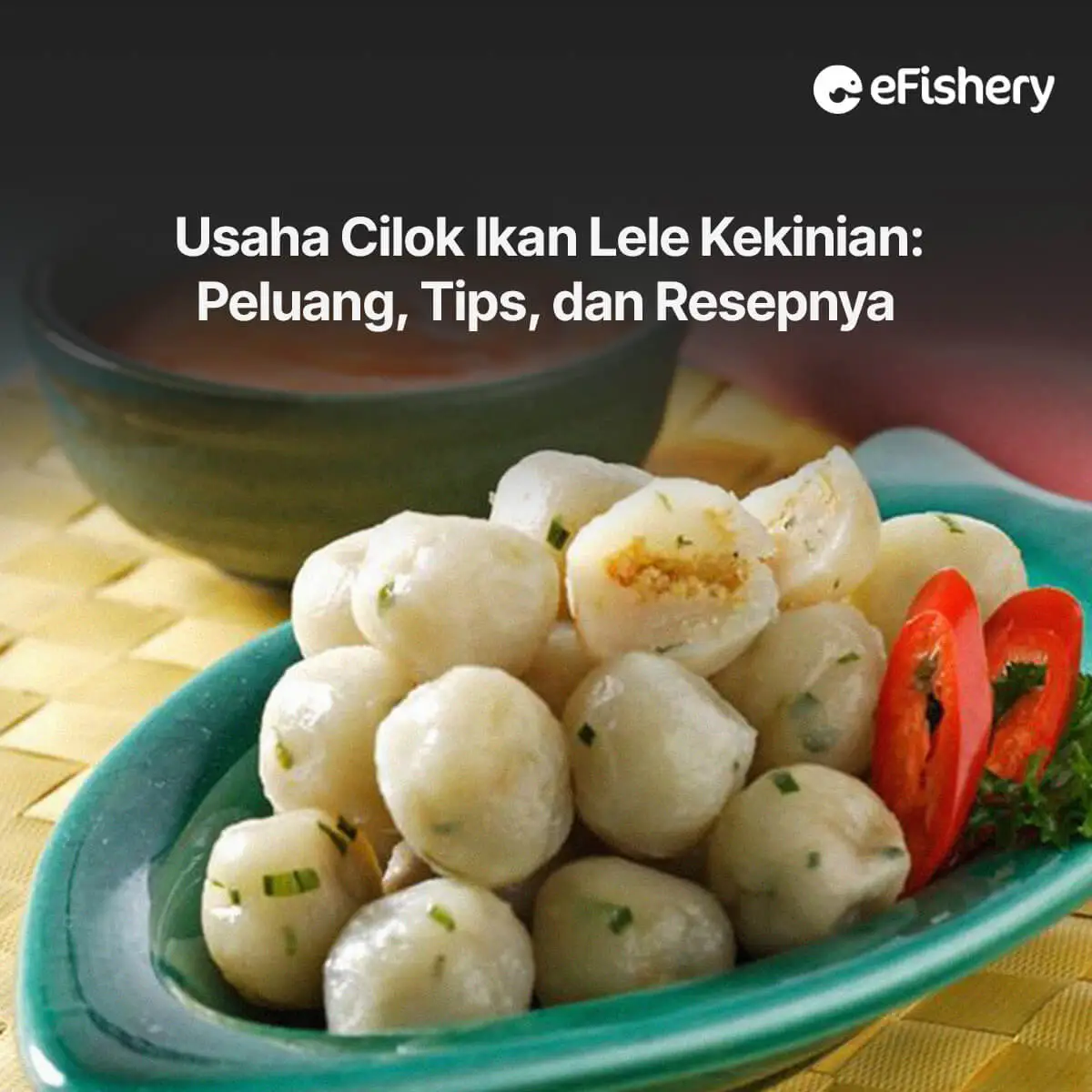 usaha cilok ikan lele