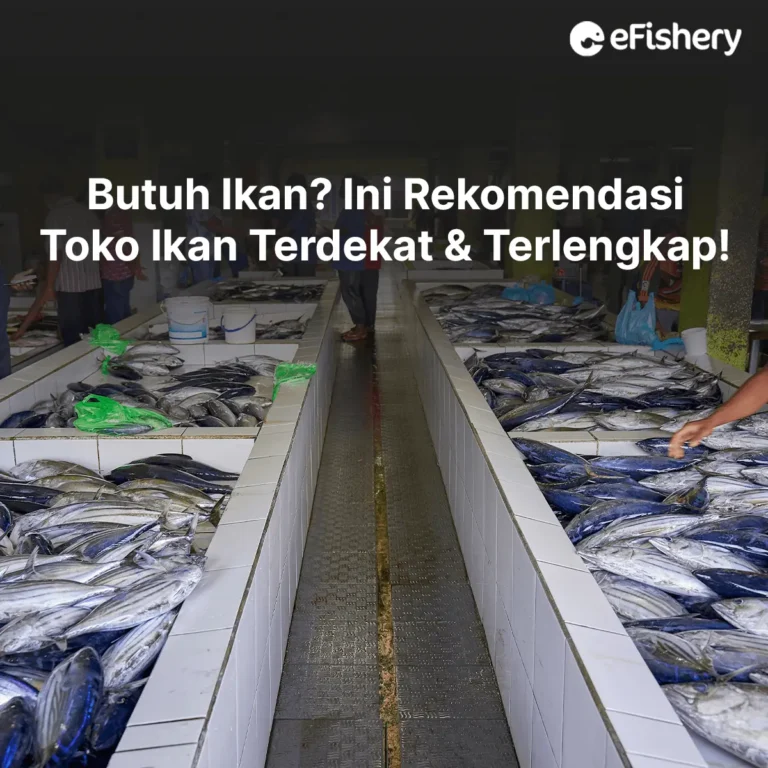 toko ikan terdekat