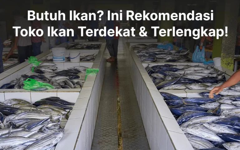 toko ikan terdekat