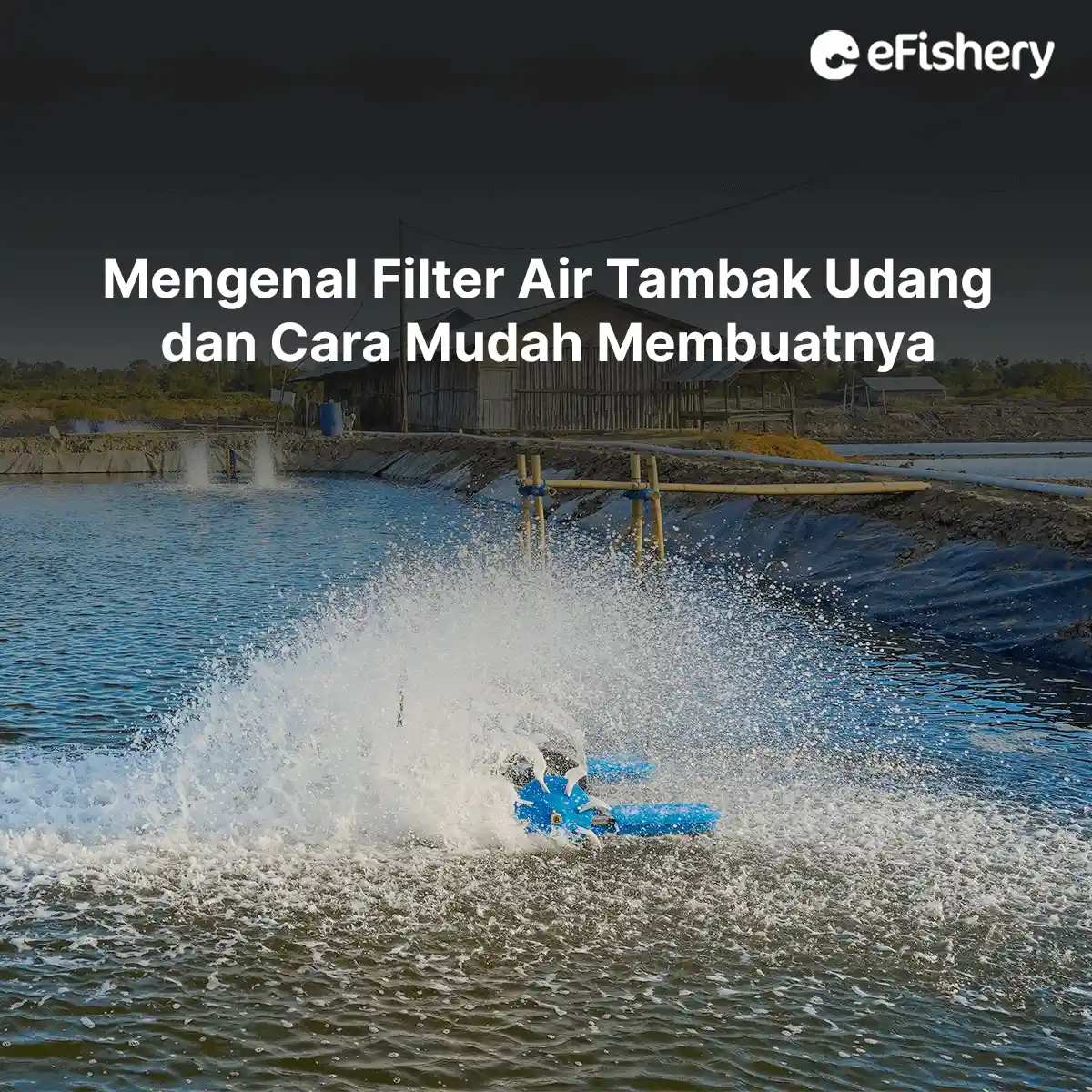 filter air tambak udang