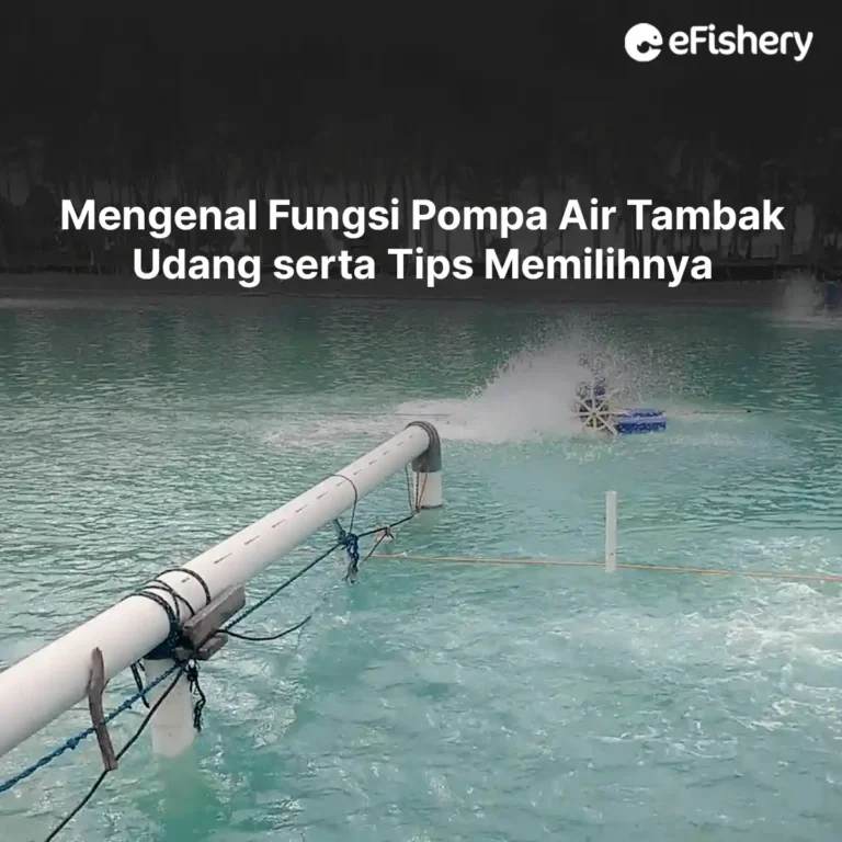 pompa air tambak udang