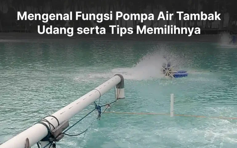 pompa air tambak udang