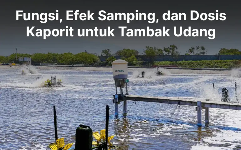 kaporit untuk tambak udang