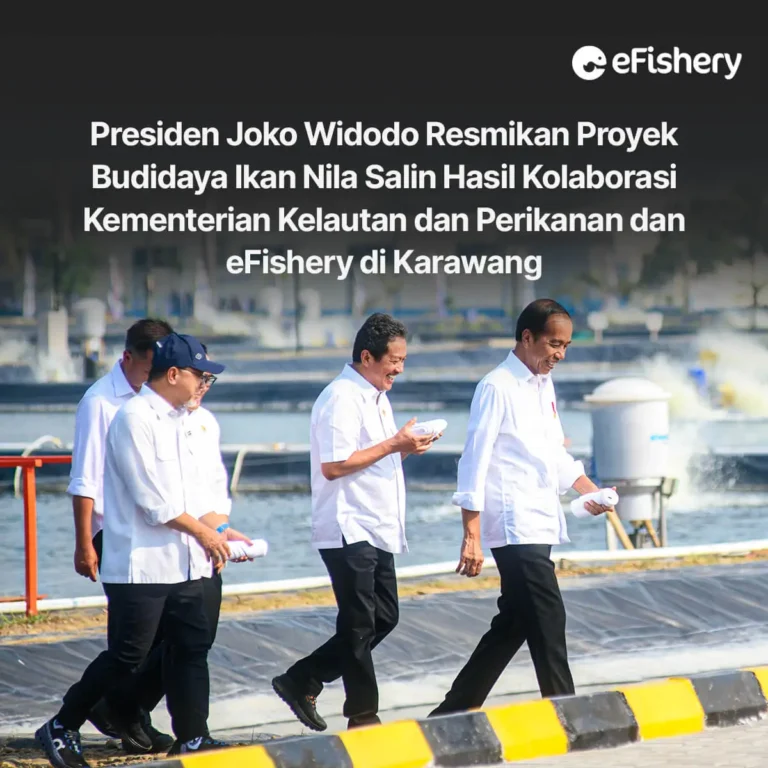 presiden joko widodo resmikan proyek budidaya ikan nila salin hasil kolaborasi kementerian kelautan dan perikanan dan efishery di karawang