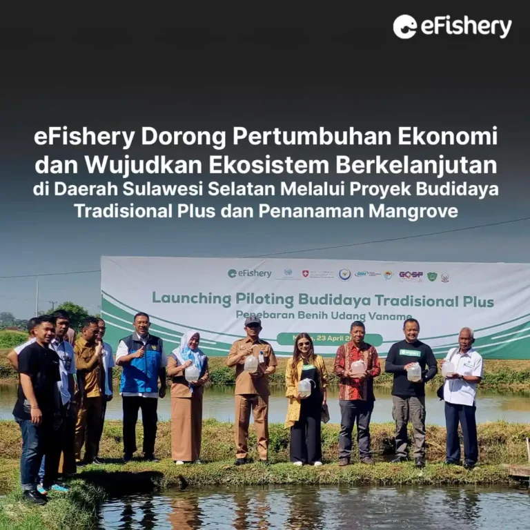 proyek efishery budidaya tradisional plus dan penanaman mangrove di sulawesi selatan