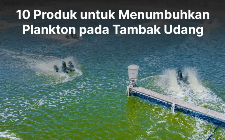 produk untuk menumbuhkan plankton pada tambak udang