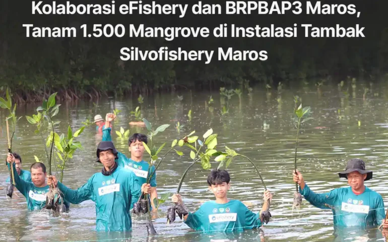 efishery dan brpbap3 maros tanam mangrove di instalasi tambak silvofishery maros