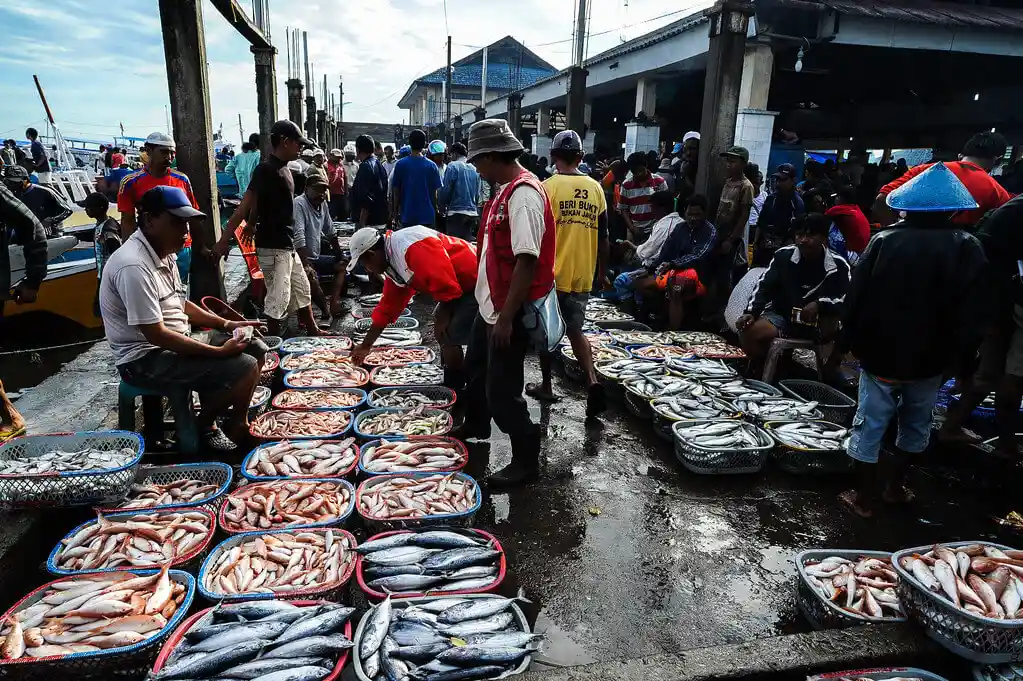 gambaran pasar ikan