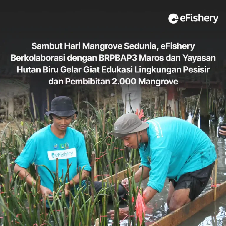 pembibitan mangrove dengan brpbap3 maros dan yayasan hutan biru