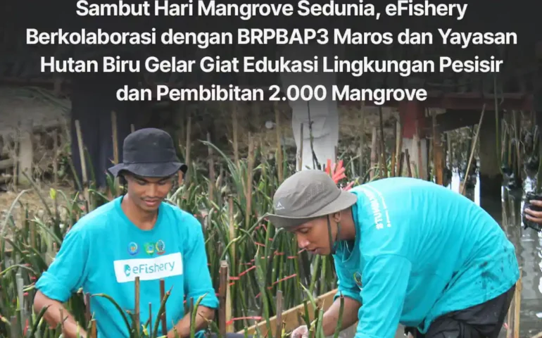 pembibitan mangrove dengan brpbap3 maros dan yayasan hutan biru